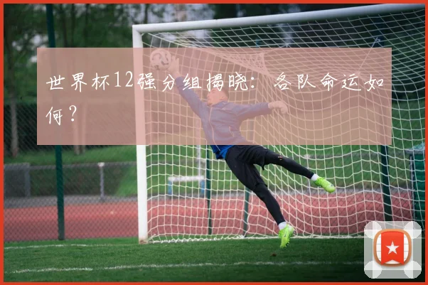 世界杯12强分组揭晓：各队命运如何？