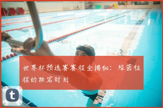 世界杯预选赛赛程全揭秘：绿茵征程的跌宕时刻
