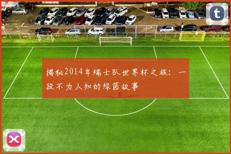 揭秘2014年瑞士队世界杯之旅:一段不为人知的绿茵故事