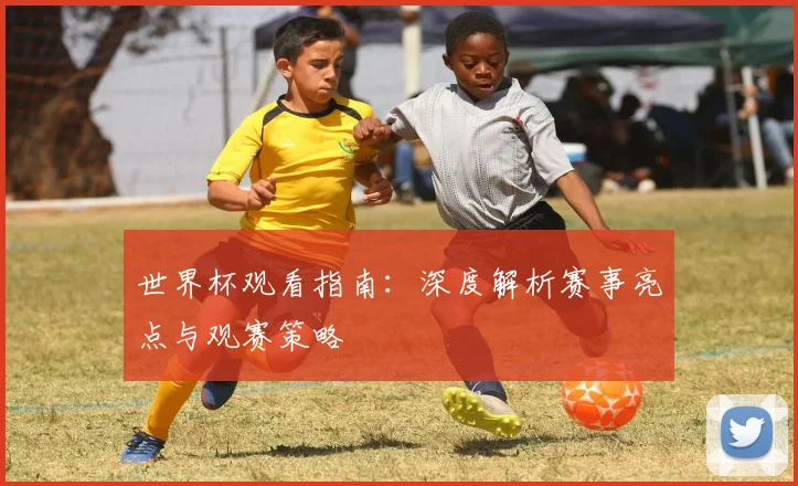 世界杯观看指南：深度解析赛事亮点与观赛策略