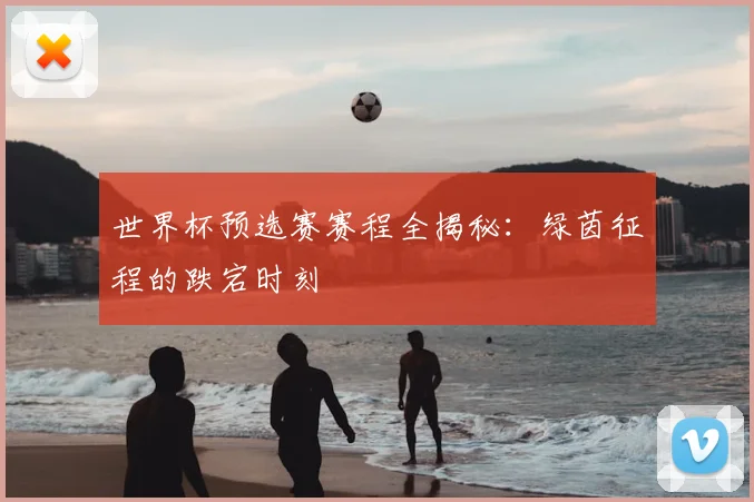 世界杯预选赛赛程全揭秘：绿茵征程的跌宕时刻