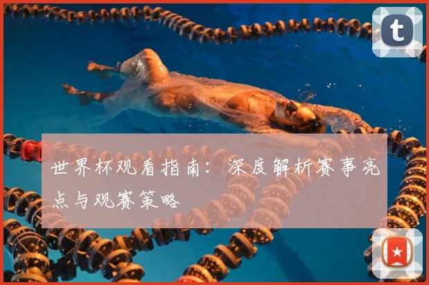 世界杯观看指南：深度解析赛事亮点与观赛策略