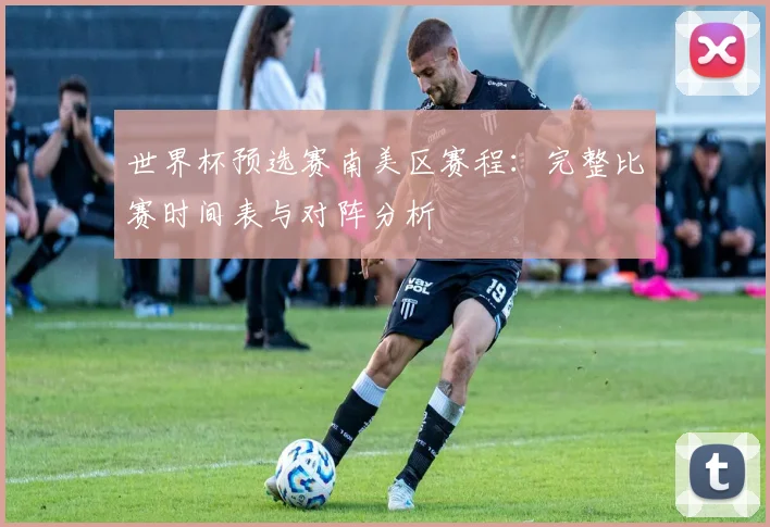 世界杯预选赛南美区赛程:完整比赛时间表与对阵分析