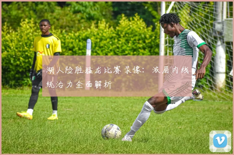 湖人险胜猛龙比赛录像：浓眉内线统治力全面解析