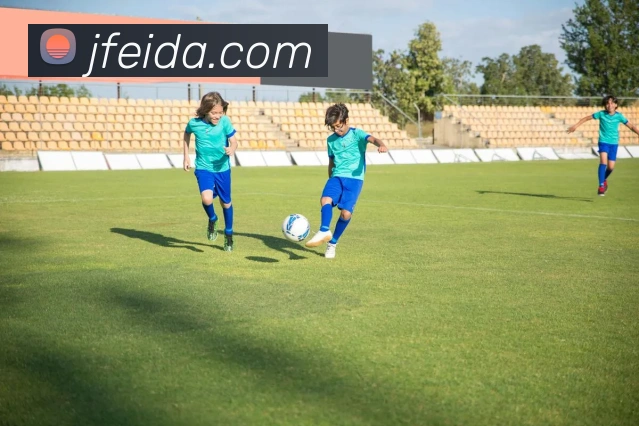 米兰官网入口全站App